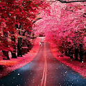 Rose Avenue Live Wallpaper logo