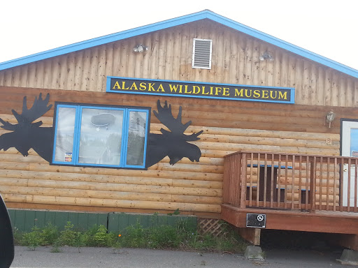 Alaska Wildlife Museum