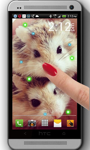 Cute Hamster live wallpaper