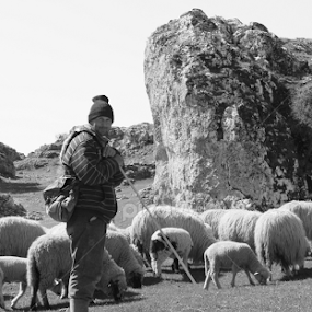 Shepherd by Daniel Pacurici - People Portraits of Men