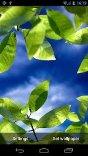 Fresh Leaves - screenshot thumbnail