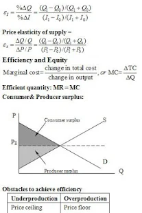 CFA Level 1 Economics 2013