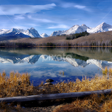 White Tops by Dave Bower -  