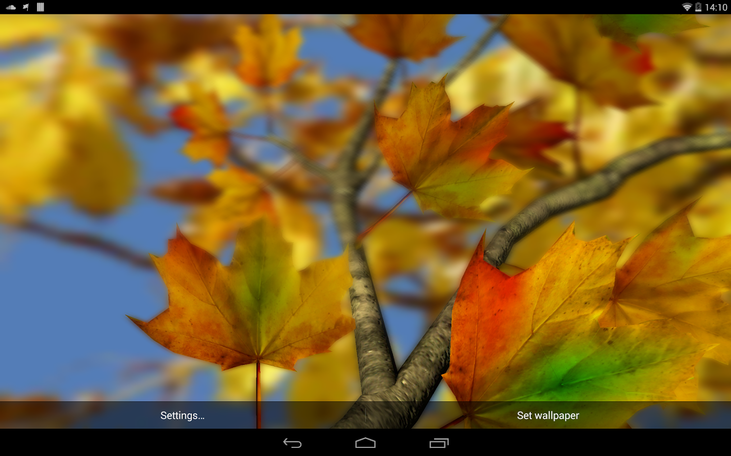  Autumn Leaves in HD Gyro 3D   il miglior live wallpaper autunnale per Android!