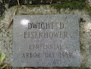 Dwight D. Eisenhower Tree