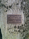 Remembrance Tree Richard G. Christensen