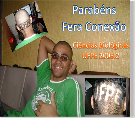Imagem2