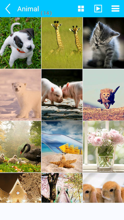 3Q Album(photo organizer) Android Apps on Google Play