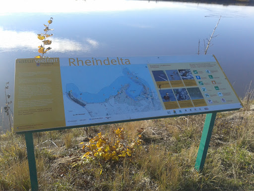 Rheindelta Infotafel