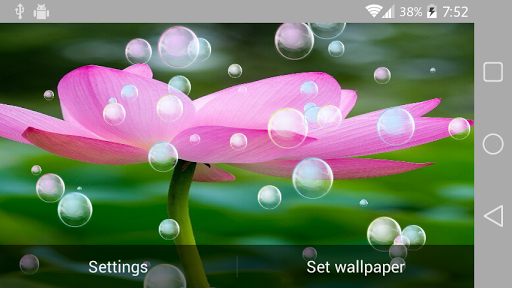 【免費個人化App】Lotus Live Wallpaper-APP點子