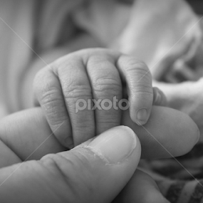A Mothers First Touch by Mickey Carson-preston - Black & White Macro
