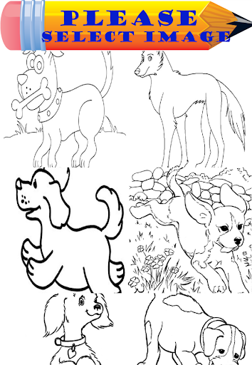 Dogs Coloring Book