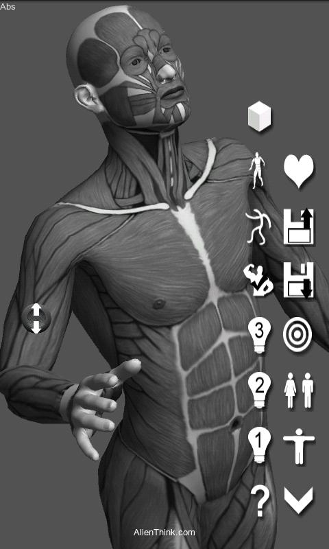 [Off-topic]Modelos de cuerpo humano 3D [Android]