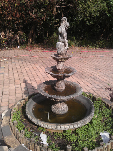 Waterberry Fountain