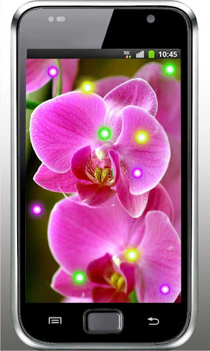 Orchid China HD live wallpaper