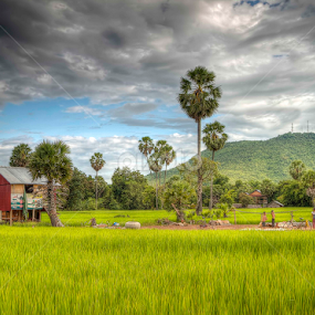Countryside  by Bunnawath B-FOTO - Landscapes Travel
