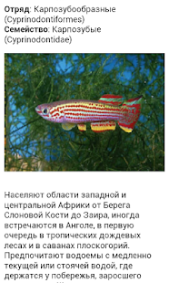 Lastest Все виды аквариумных рыб APK for Android