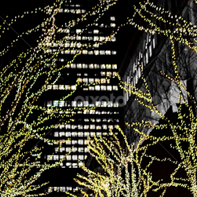 by Angelo Perrino - Public Holidays Christmas