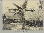 Caraïbendorp bij Albina, Suriname