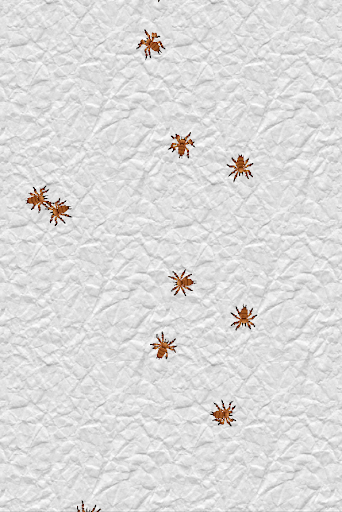 【免費個人化App】Spiders Live Wallpaper-APP點子