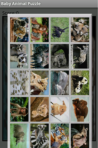 Baby Animal Puzzle