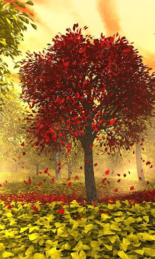 【免費生活App】Nature Wallpapers - Autumn Pro-APP點子