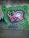 Mural Gato Verde