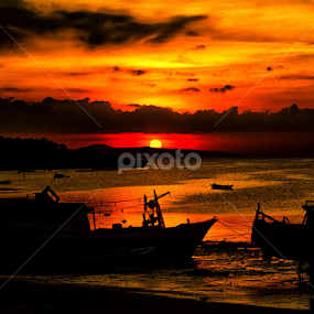 Golden Sunseut by Jnr Lavigne - Landscapes Sunsets & Sunrises