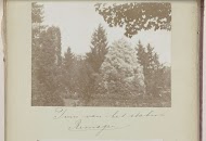 Tuin met bomen bij het station van Remagen