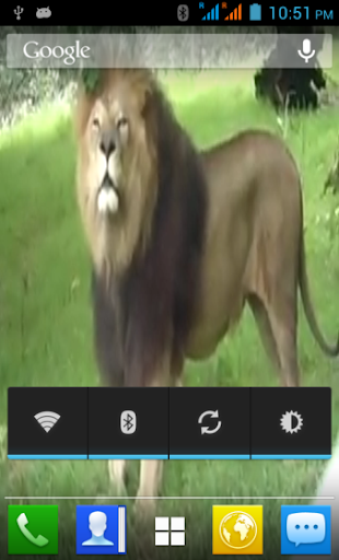 LionLiveWallpaper