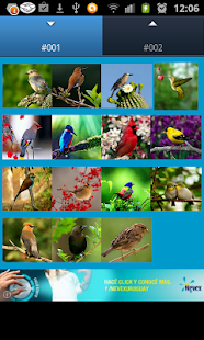 How to download Birds Sounds (3D) 1.2 unlimited apk for android