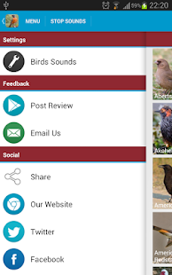 North American Birds Sounds Screenshots 23