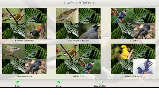 How to download New Zealand Bird Songs lastet apk for pc