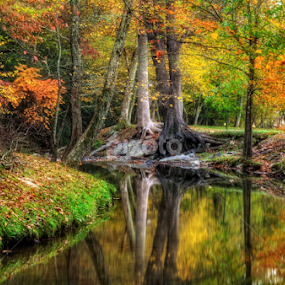 Butternut Creek in Fall by Greg Mimbs - City,  Street & Park City Parks