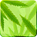 MaryJane Live Wallpaper