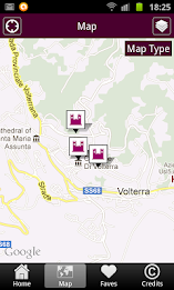 toomuchvolterra poster 4