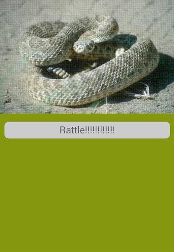 Rattlesnake Sounds