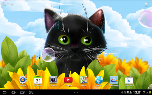 Cute Kitten Live Wallpaper