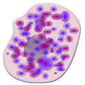 Stem Cell Glossary logo