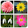 Flower Game Download on Windows