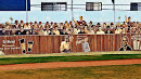 Beach City Baseball Mural