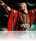 images_005