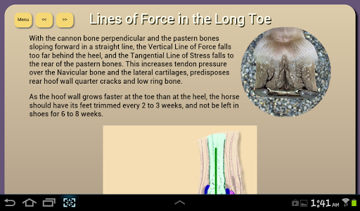 Horse and Hoof Health