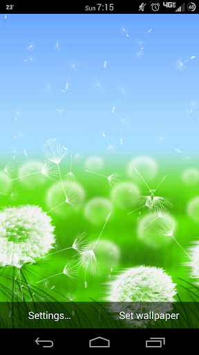 Windy Day Lite Live Wallpaper