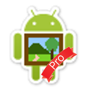 Photoroid　Pro logo