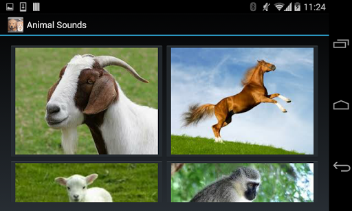 【免費娛樂App】Animal Sounds (2 line display)-APP點子