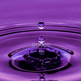 pink water drops by Youssef Elboukhari - Abstract Water Drops & Splashes