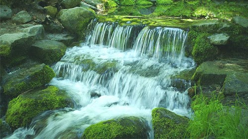 Android application Green Stream HD Video &amp; Alarm screenshort