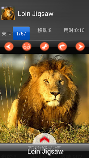 【免費教育App】Animals puzzle – Lion Jigsaw-APP點子