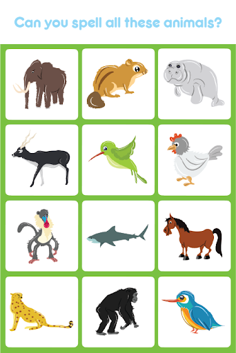 免費下載教育APP|Kids Spell & Learn Animals app開箱文|APP開箱王